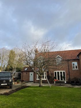 Click Here To Enlarge This Photo Of Annual Trimming & Reductions