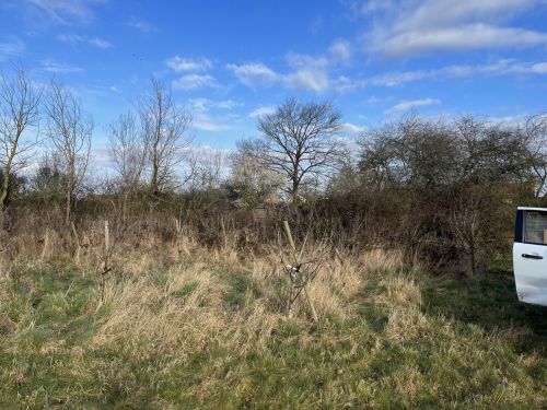 Click Here To Enlarge This Photo Of Edingley Orchard