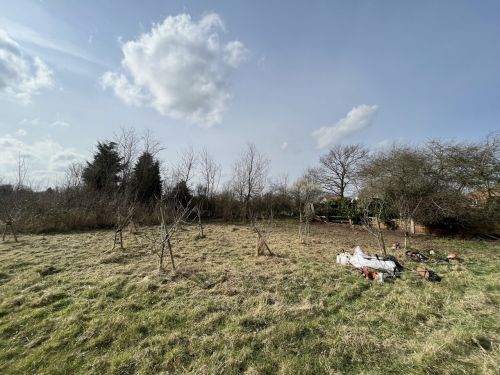 Click Here To Enlarge This Photo Of Edingley Orchard