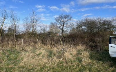 Photo of Edingley Orchard