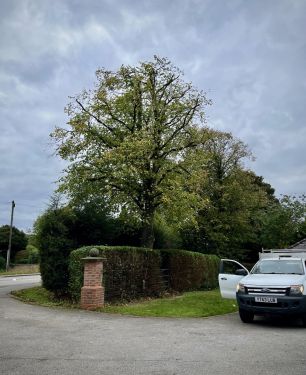 Click Here To Enlarge This Photo Of Mapperley Top Lime Reduction