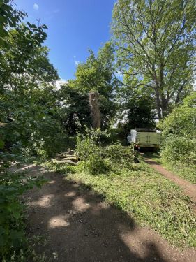 Click Here To Enlarge This Photo Of Emergency Tree Works Callout