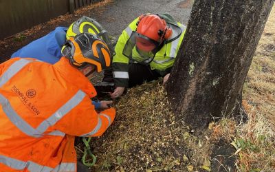 Photo of 5 Year Contract with Via East Midlands