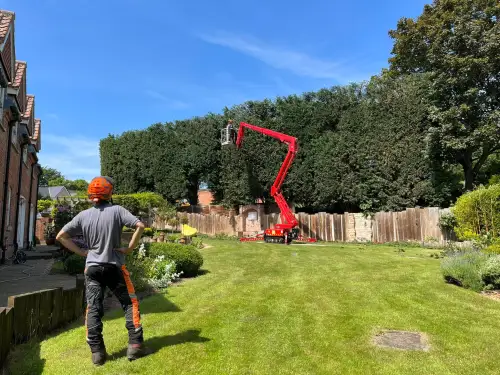 Click Here To Enlarge This Photo Of Large Hedge Trim