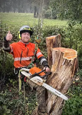 Click Here To Enlarge This Photo Of Dead Tree Removals