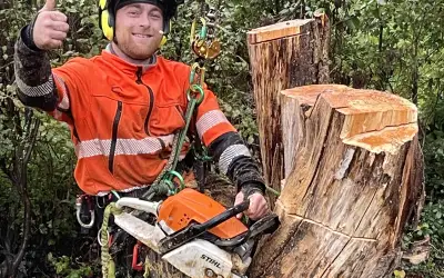 Photo of Dead Tree Removals