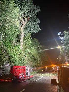 Click Here To Enlarge This Photo Of Oak Tree Removal & Vegetation Clearance