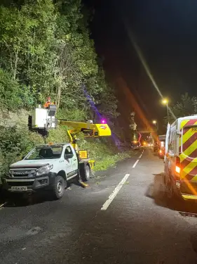 Click Here To Enlarge This Photo Of Oak Tree Removal & Vegetation Clearance