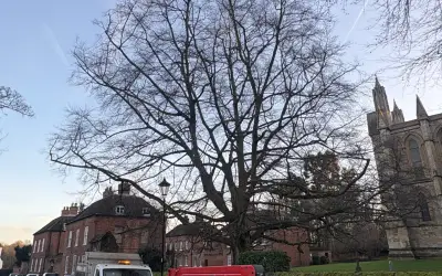 Photo of Southwell Minster