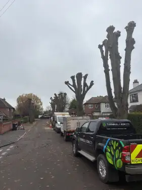 Click Here To Enlarge This Photo Of Tree Works Nottingham