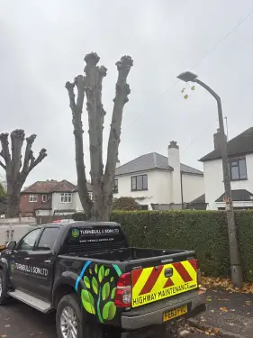 Click Here To Enlarge This Photo Of Tree Works Nottingham