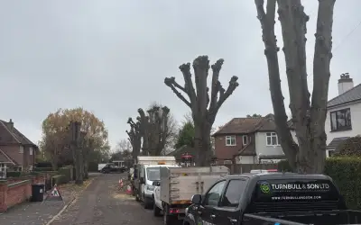 Photo of Tree Works Nottingham