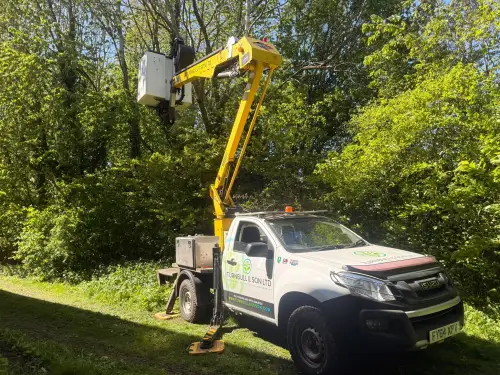 Click Here To Enlarge This Photo Of Tree Removal & Crown Reduction Nottingham Trent University Clifton Campus