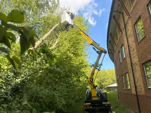 Click Here To Enlarge This Photo Of Tree Removal & Crown Reduction Nottingham Trent University Clifton Campus