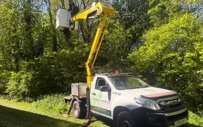 Photo of Tree Removal & Crown Reduction Nottingham Trent University Clifton Campus