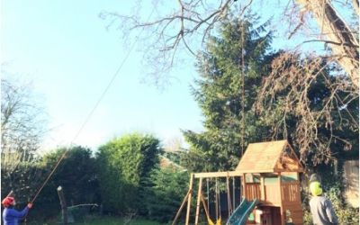 Photo of Tree Removal Nottinghamshire