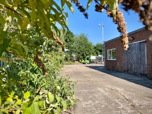 Click Here To Enlarge This Photo Of Commercial Site Tree Clearance