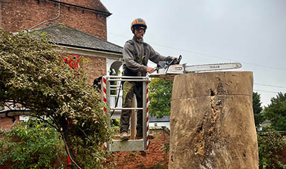 Domestic Tree Services